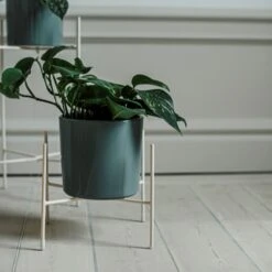 Pot Glazed 15cm Eucalyptus -Home Essentials Günstiges Geschäft 401485 31645