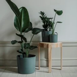 Pot Glazed 13cm Eucalyptus -Home Essentials Günstiges Geschäft 401486 31638