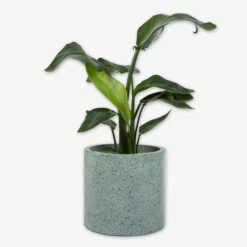 Pot Cement Terrazzo Ø27 Eucalyptus 9 Pot Cement Terrazzo Ø27 Eucalyptus -Home Essentials Günstiges Geschäft 401497 31872