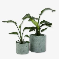 Pot Cement Terrazzo Ø27 Eucalyptus 10 Pot Cement Terrazzo Ø27 Eucalyptus -Home Essentials Günstiges Geschäft 401497 31873