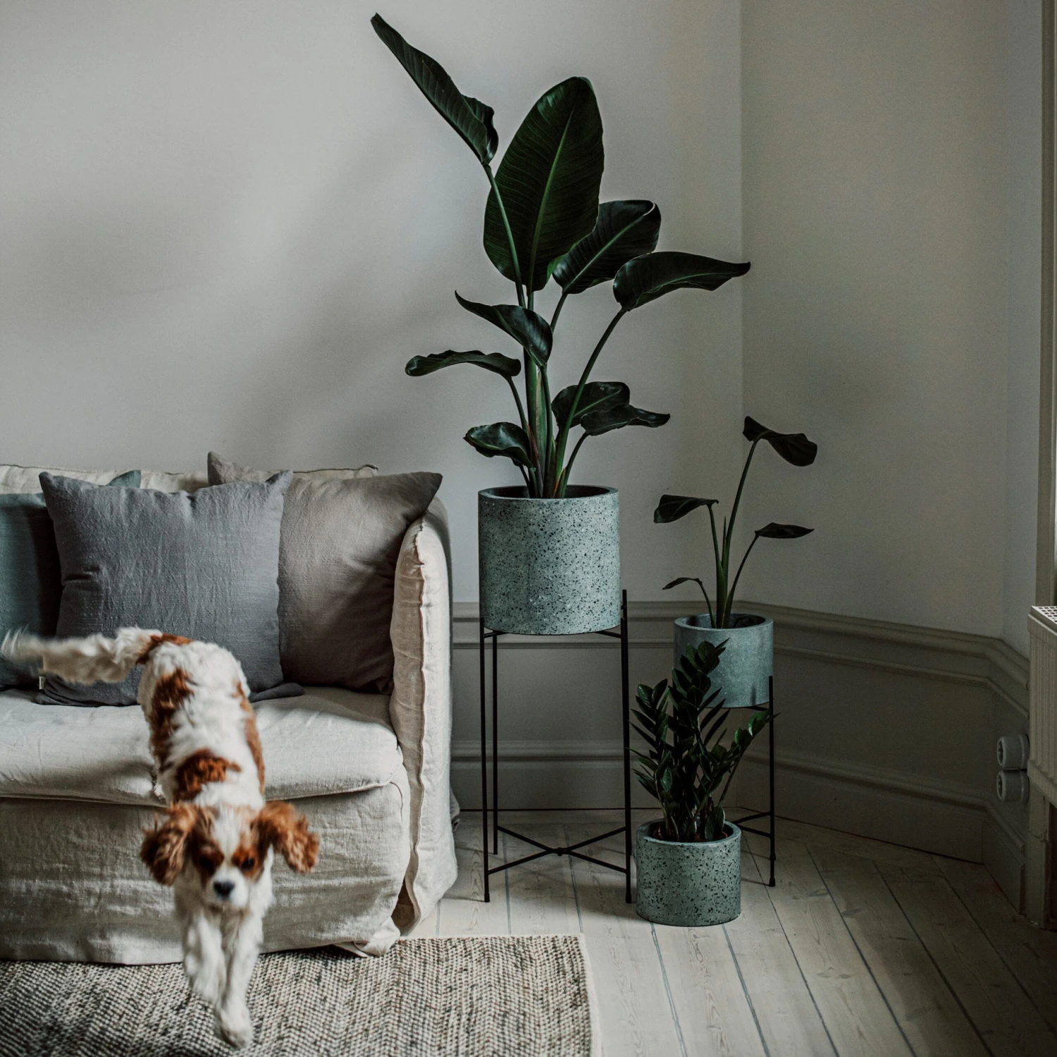 Pot Cement Terrazzo Ø27 Eucalyptus 6 Pot Cement Terrazzo Ø27 Eucalyptus – Bild 6