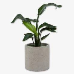 Pot Cement Ø27 Sand 6 Pot Cement Ø27 Sand -Home Essentials Günstiges Geschäft 401503 31890