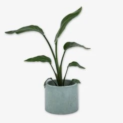 Pot Cement Ø19 Eucalyptus -Home Essentials Günstiges Geschäft 401504 31894