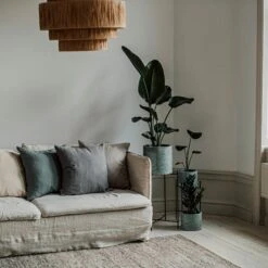 Pot Cement Ø19 Eucalyptus -Home Essentials Günstiges Geschäft 401504 31958