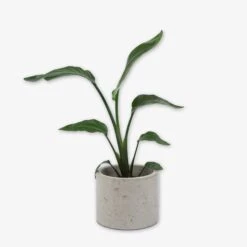 Pot Cement Ø19 Sand 6 Pot Cement Ø19 Sand -Home Essentials Günstiges Geschäft 401505 31897