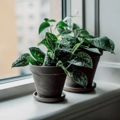 Untersetzer Terrakotta Ø 11 Cm -Home Essentials Günstiges Geschäft 401510 31155