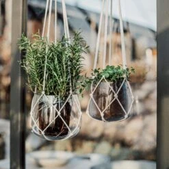 Ampel Glas Groß Natur -Home Essentials Günstiges Geschäft 401531 33848