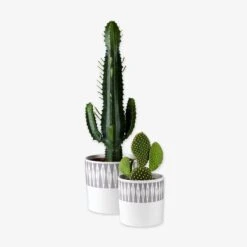 Blumentopf Stig Lindberg Diabolo 15 Cm Grau -Home Essentials Günstiges Geschäft 401973 35150