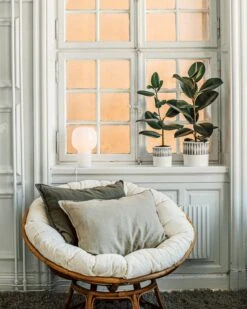 Blumentopf Stig Lindberg Diabolo 20 Cm Grau -Home Essentials Günstiges Geschäft 401974 36495