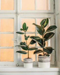 Blumentopf Stig Lindberg Diabolo 20 Cm Grau -Home Essentials Günstiges Geschäft 401974 36496