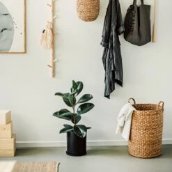 Korb Abaca Rund Griff 50 X 40 Cm -Home Essentials Günstiges Geschäft 402013 35542