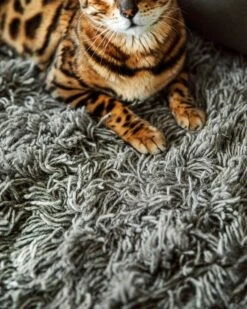 Rug Shaggy Undyed Wool 170x240 -Home Essentials Günstiges Geschäft 402305 36401