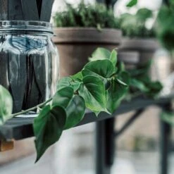 Artificial Garland Gullranka 190cm -Home Essentials Günstiges Geschäft 402336 33915